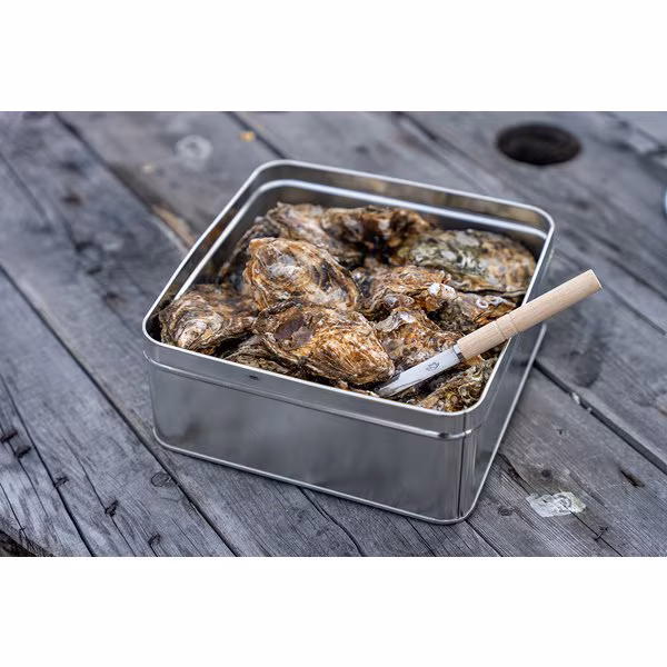 カンカン焼きセット 無選別2kg