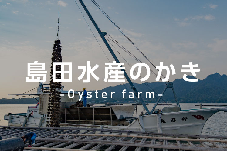 島田水産のかき養殖