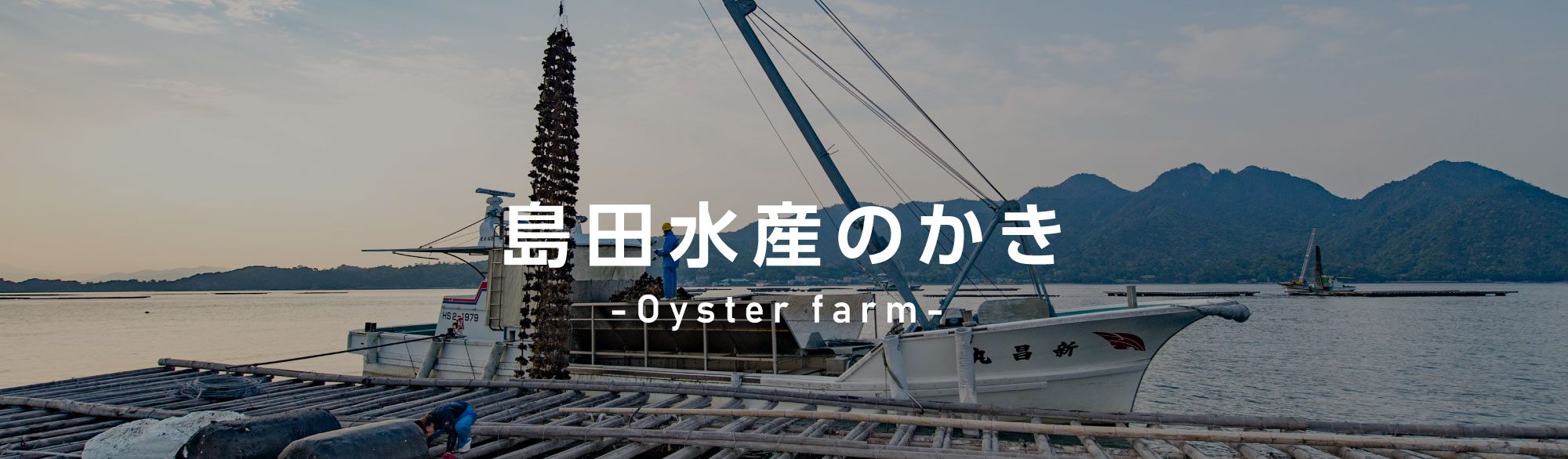 島田水産のかき養殖