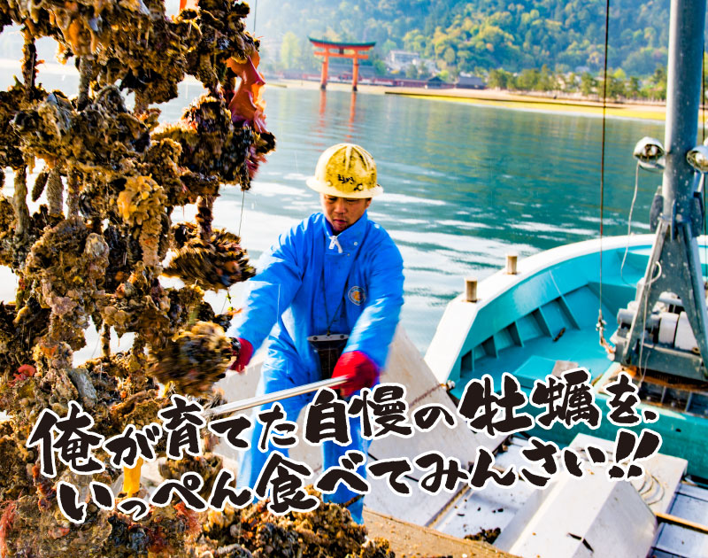 かきの水揚げ
